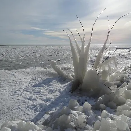 De Leekerhoek 住宿加早餐酒店 Oosterleek