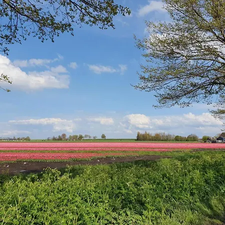 De Leekerhoek Frühstückspension 3*