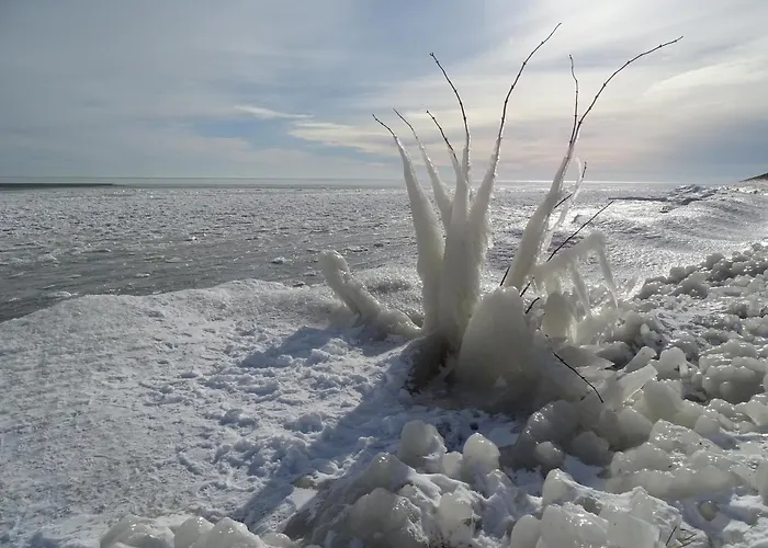De Leekerhoek 住宿加早餐酒店 Oosterleek