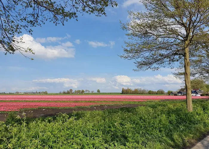 De Leekerhoek 住宿加早餐酒店 3*