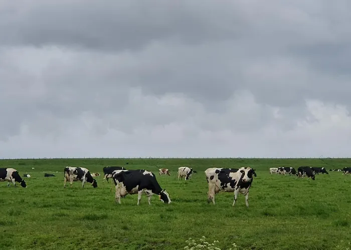 De Leekerhoek 住宿加早餐酒店