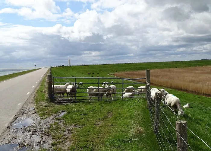 住宿加早餐酒店 De Leekerhoek